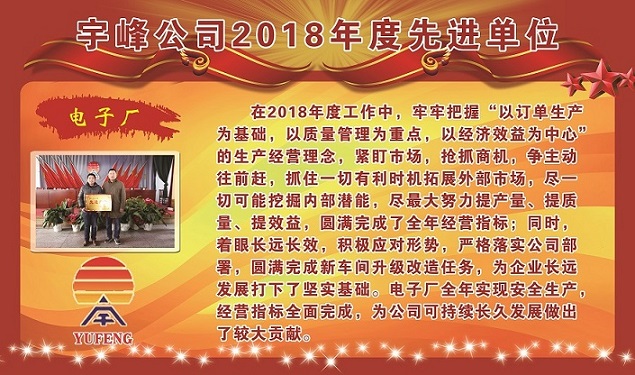 宇峰公司2018年度先进单位