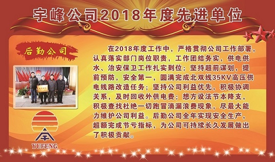 宇峰公司2018年度先进单位