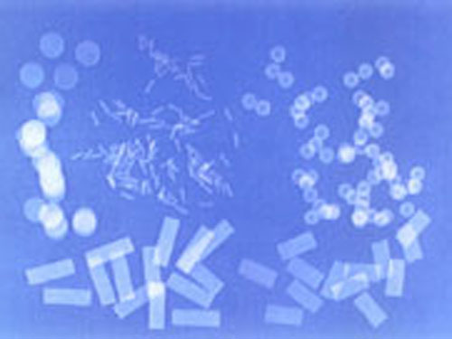 压电晶体频率片